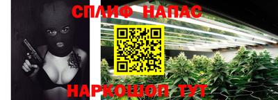 стафф Славгород