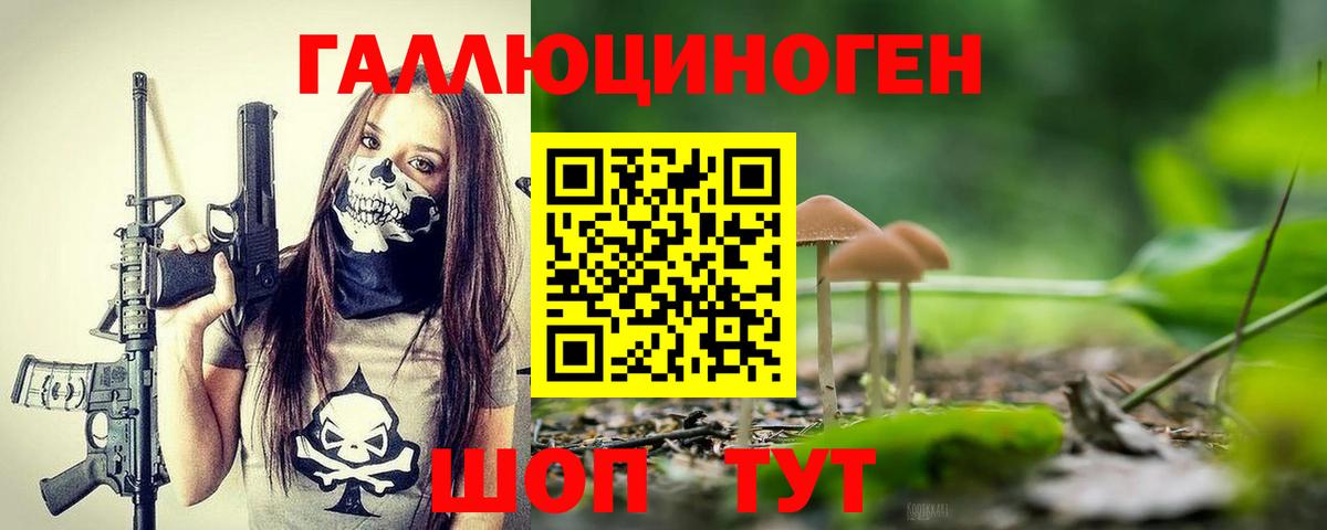 Галлюциногенные грибы Magic Shrooms  где найти   Новый Уренгой  Вход с VPN  Галлюциногенные грибы Magic Shrooms 